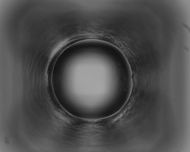 X0000093230246200710031504