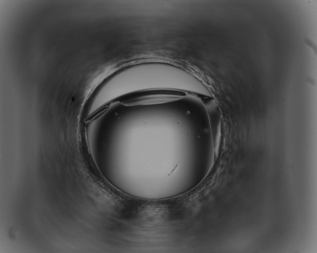 X0000093230248200710031504