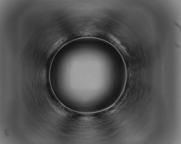 X0000093230250200710031504