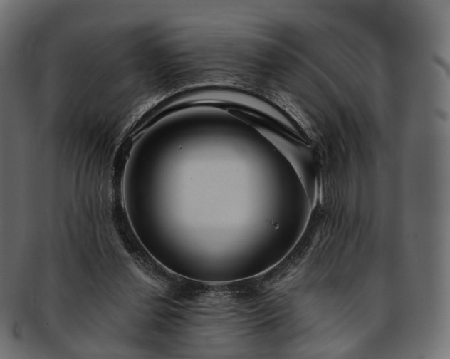 X0000093230252200710031504