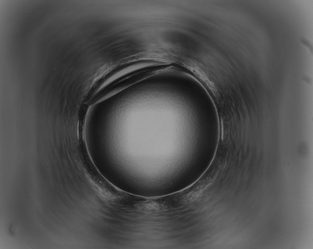 X0000093230253200710031504