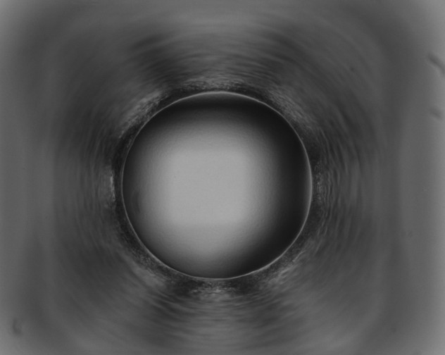 X0000093230254200710031504