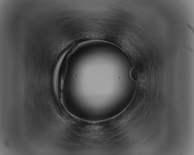 X0000093230255200710031504