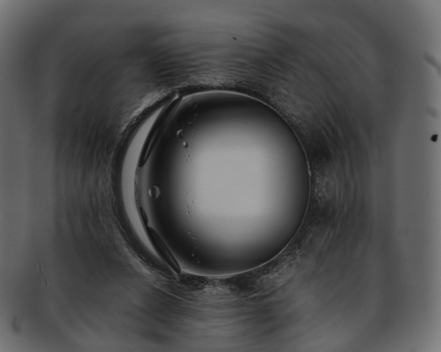 X0000093230256200710031504