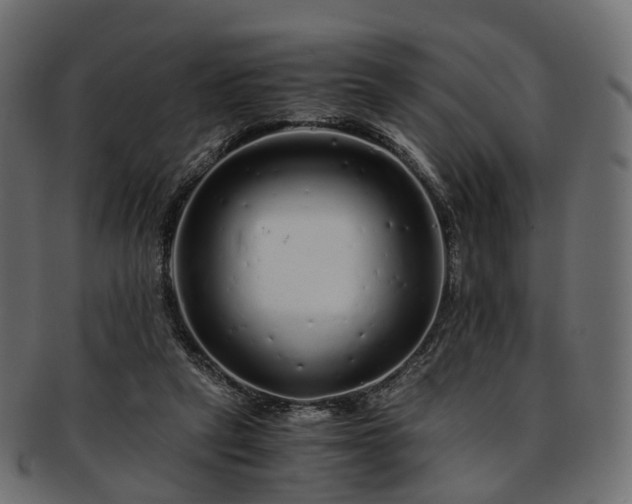 X0000093230257200710031504