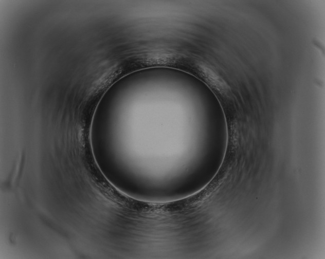 X0000093230258200710031504