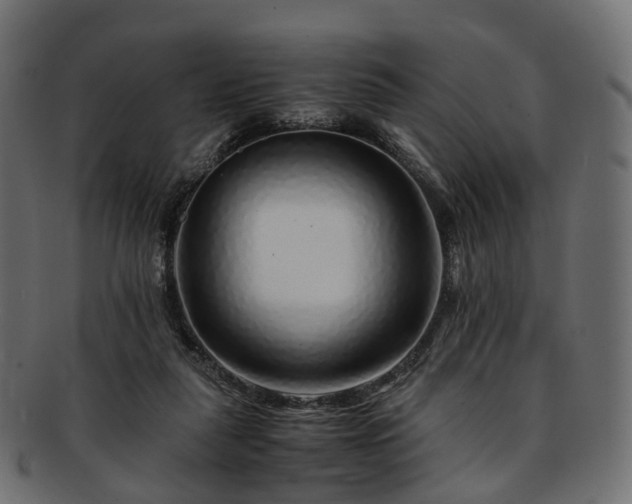 X0000093230259200710031504