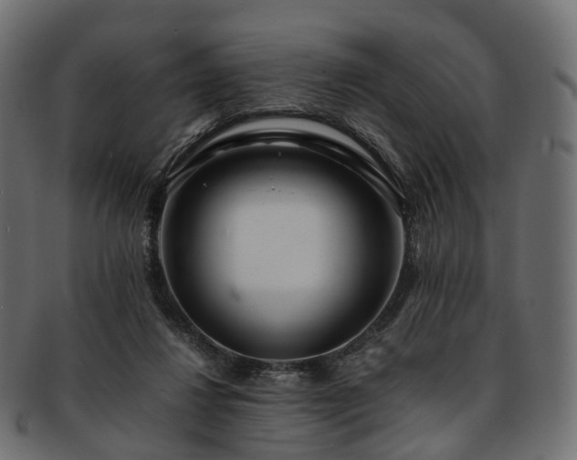 X0000093230260200710031504