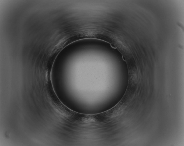 X0000093230262200710031504