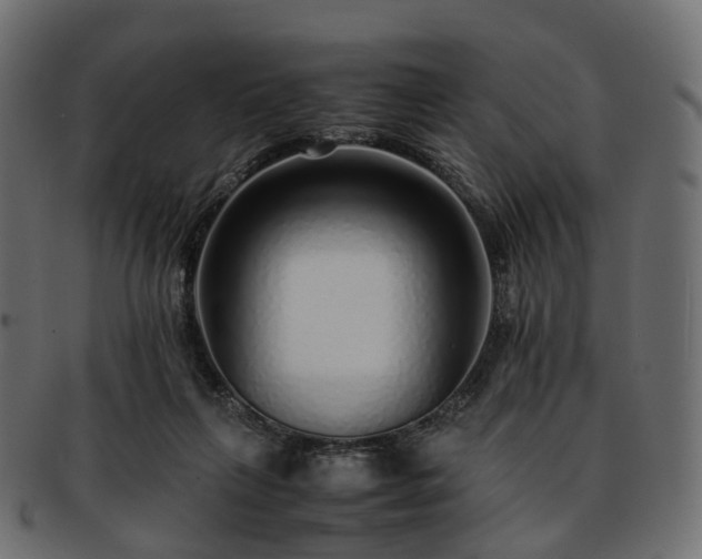 X0000093230263200710031504