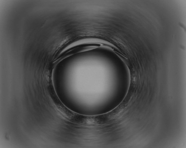 X0000093230264200710031504