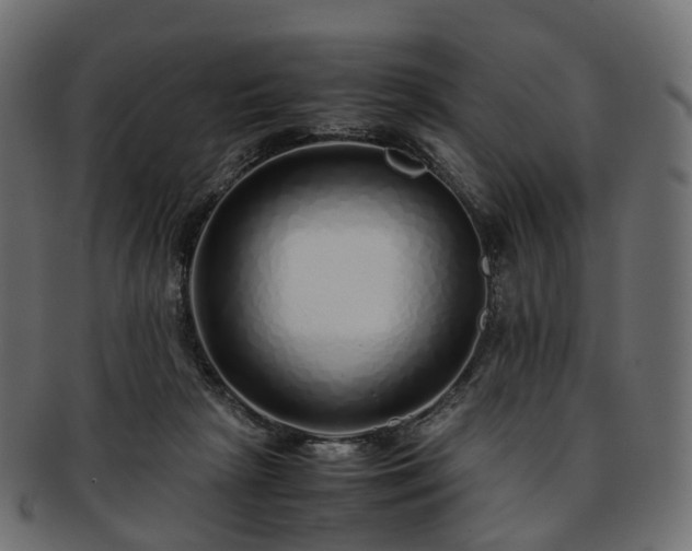 X0000093230265200710031504