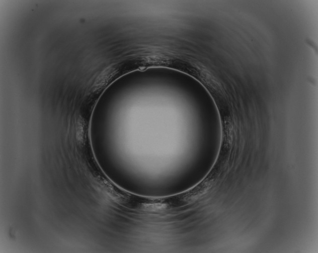 X0000093230266200710031504