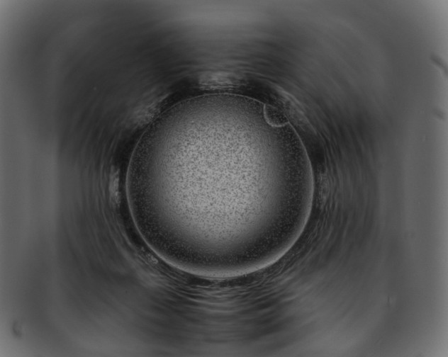 X0000093230267200710031504