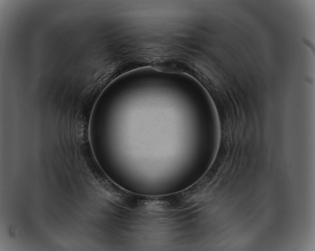 X0000093230268200710031504