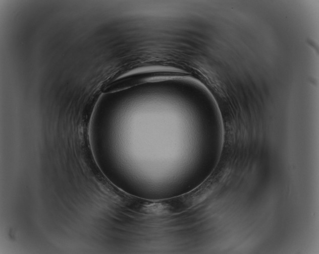 X0000093230269200710031504