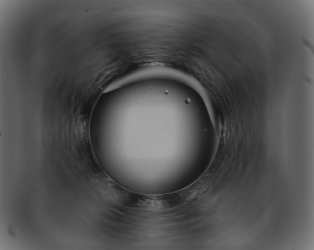 X0000093230276200710031504