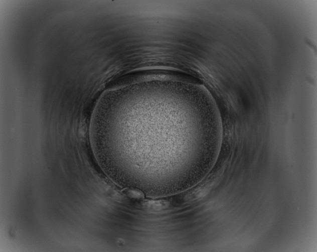 X0000093230277200710031504