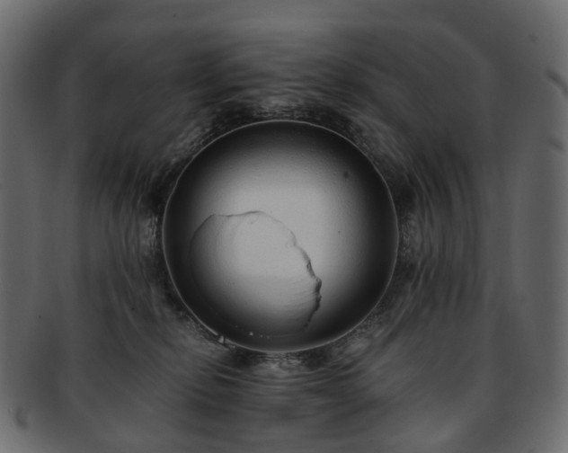 X0000093230278200710031504