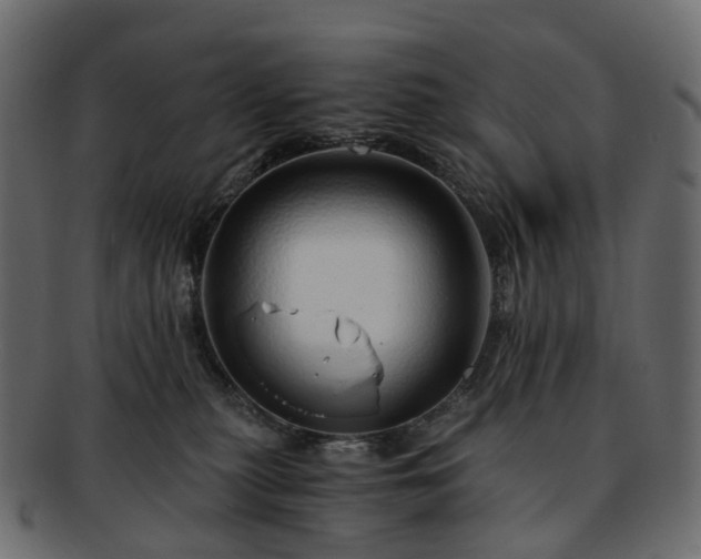 X0000093230279200710031504