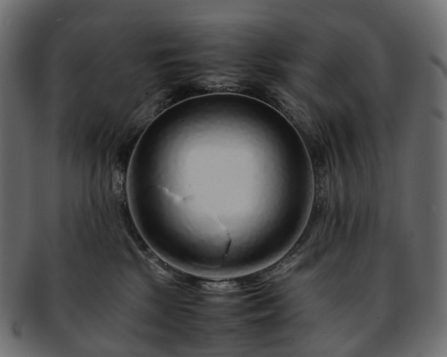 X0000093230281200710031504