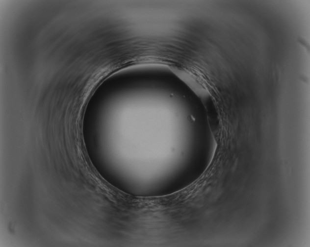 X0000093230289200710031504