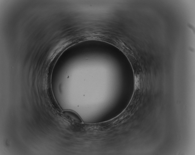 X0000093230291200710031504