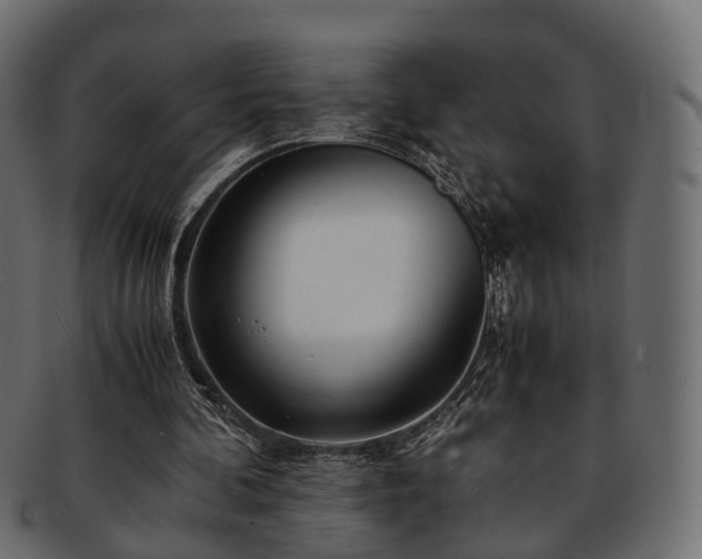 X0000093230292200710031504