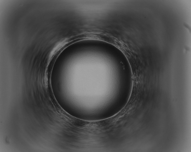 X0000093230294200710031504