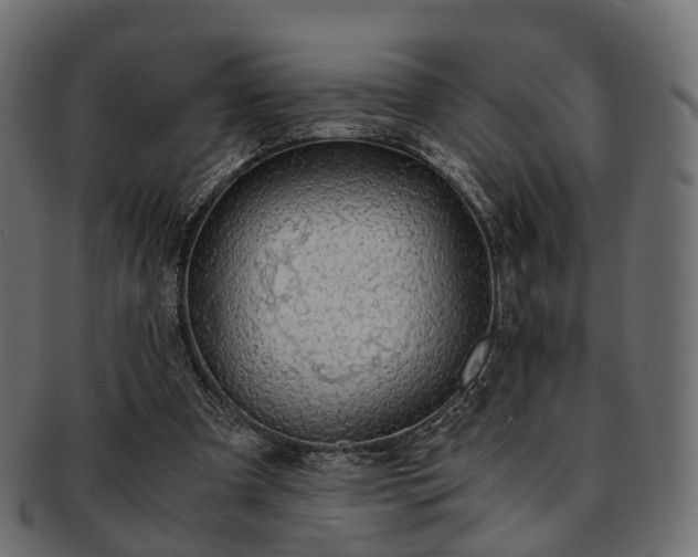 X0000093230297200710031504