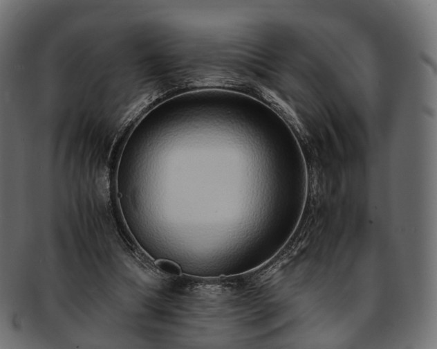 X0000093230298200710031504