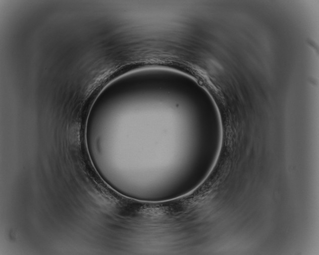 X0000093230299200710031504