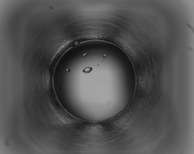 X0000093230304200710031504