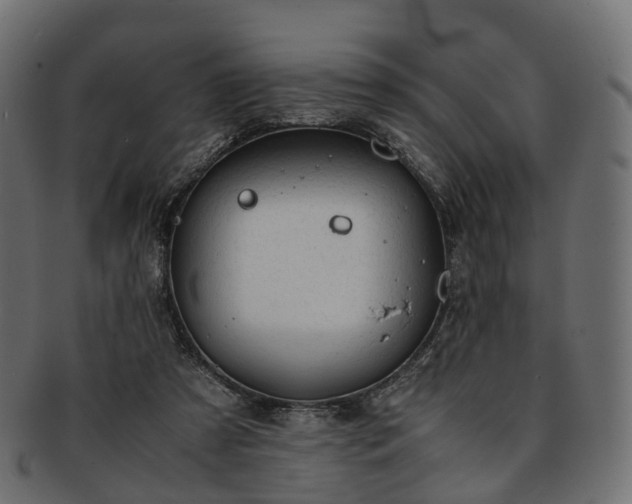 X0000093230305200710031504