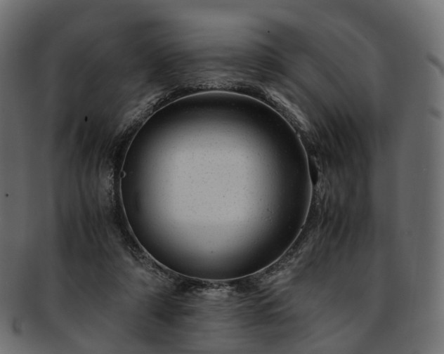 X0000093230306200710031504