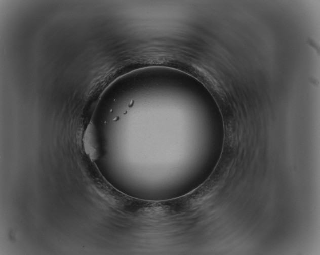 X0000093230307200710031504