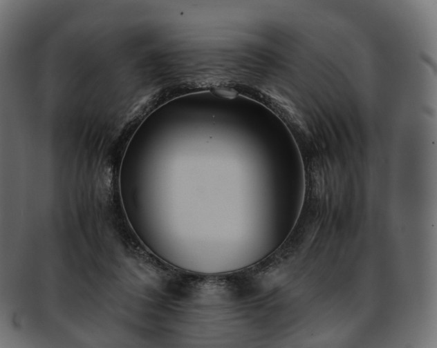 X0000093230308200710031504