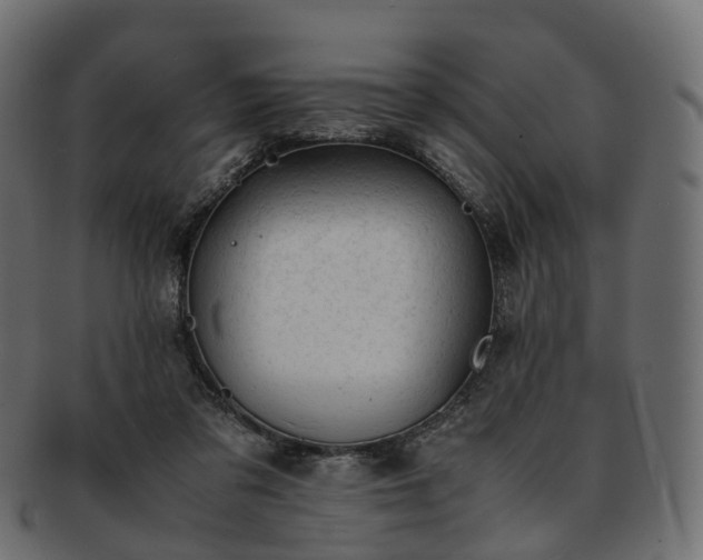 X0000093230309200710031503