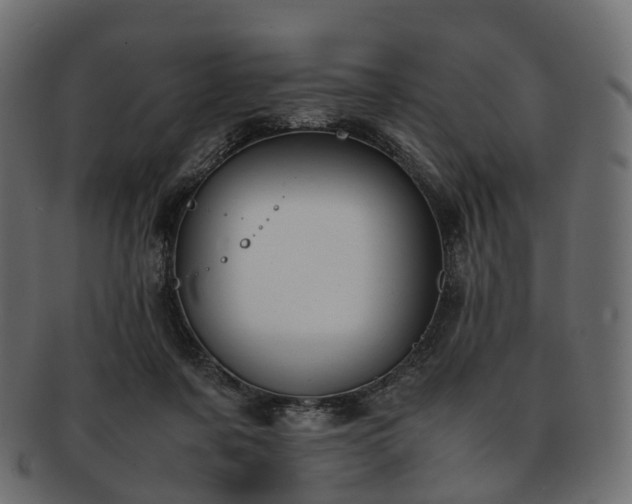 X0000093230311200710031503