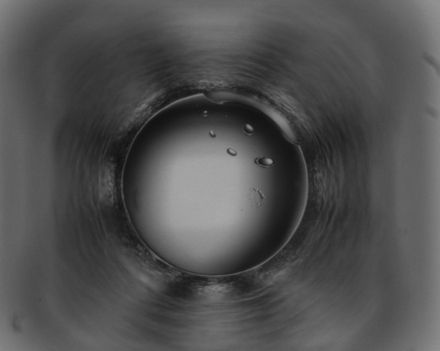 X0000093230312200710031503