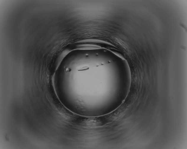 X0000093230315200710031503