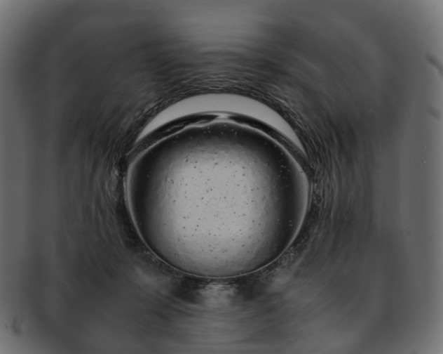 X0000093230319200710031503