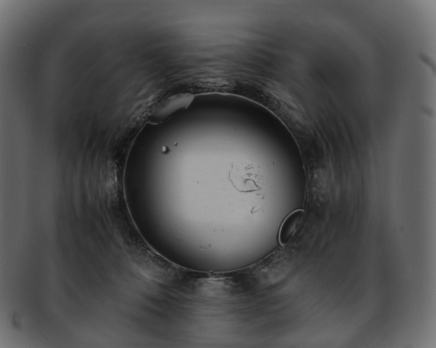 X0000093230320200710031503