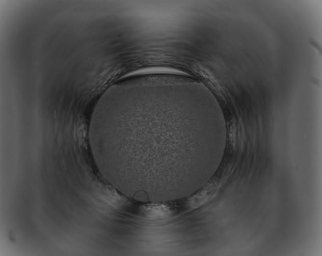 X0000093230322200710031503