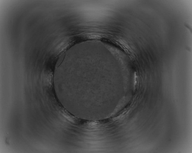 X0000093230325200710031503