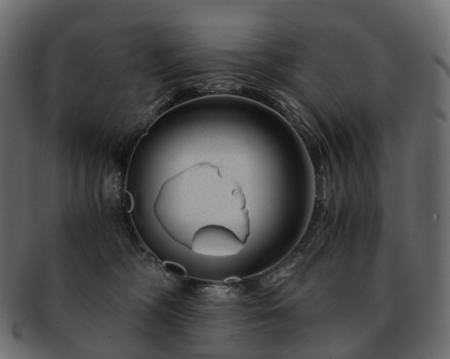 X0000093230326200710031503