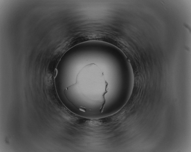 X0000093230327200710031503