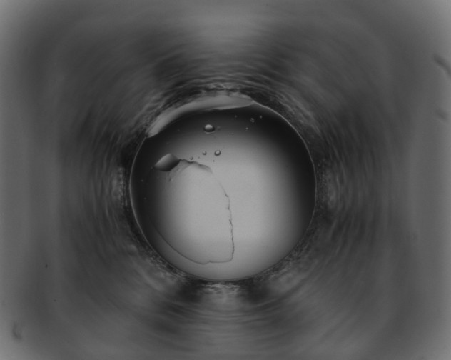 X0000093230328200710031503