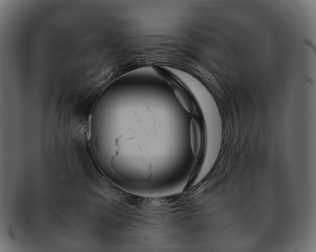 X0000093230329200710031503