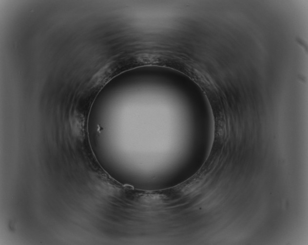 X0000093230332200710031503